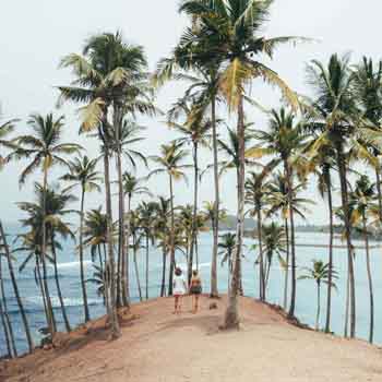 Destination