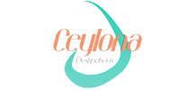 Sticky logo