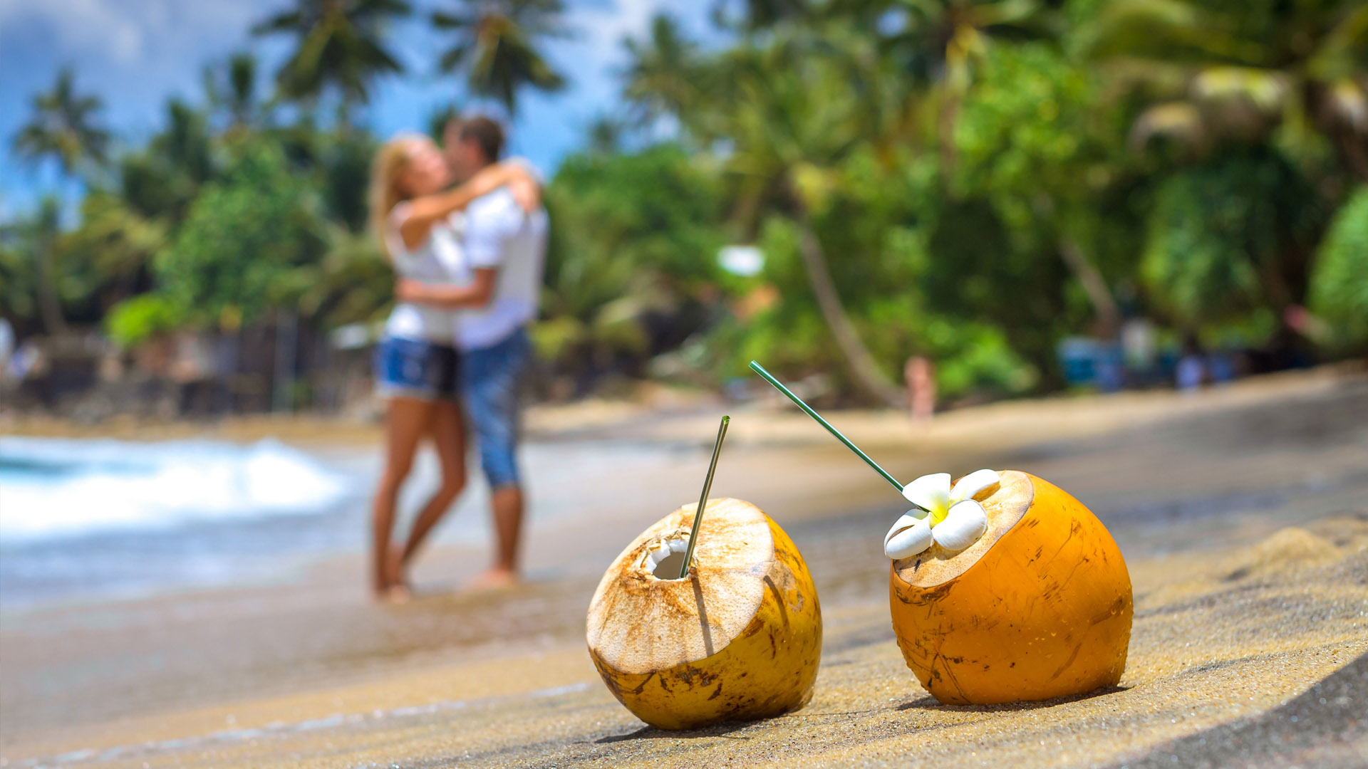 Discover Brazil